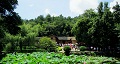 長沙出發(fā)到花明樓、韶山、張家界國家森林公園、天門仙山國家森林公園四日游